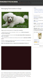 Mobile Screenshot of managingpancreatitisindogs.com